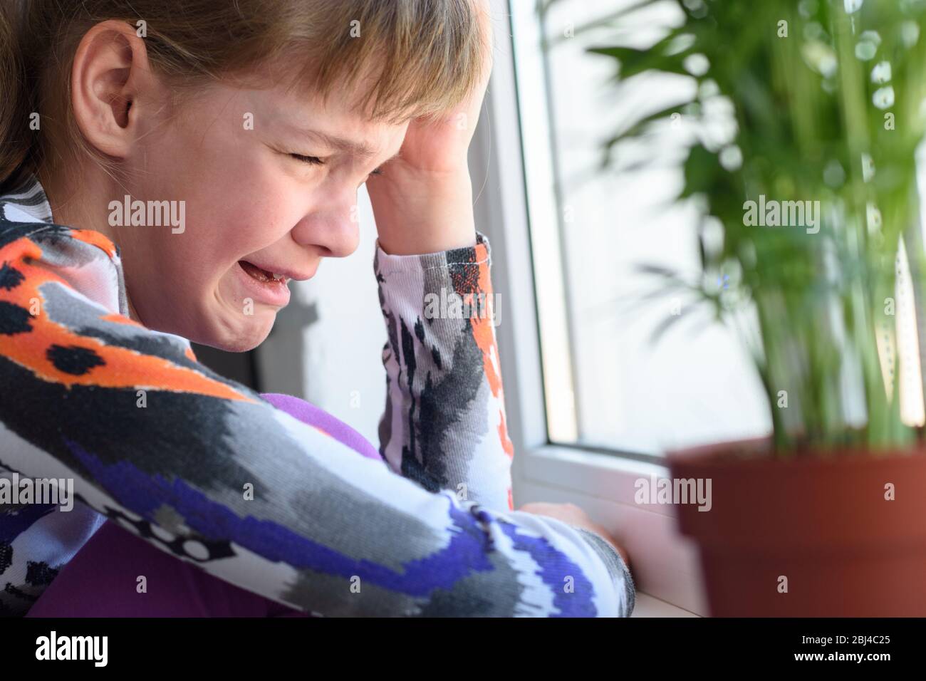 Portrait of a roaring child by the window Stock Photo