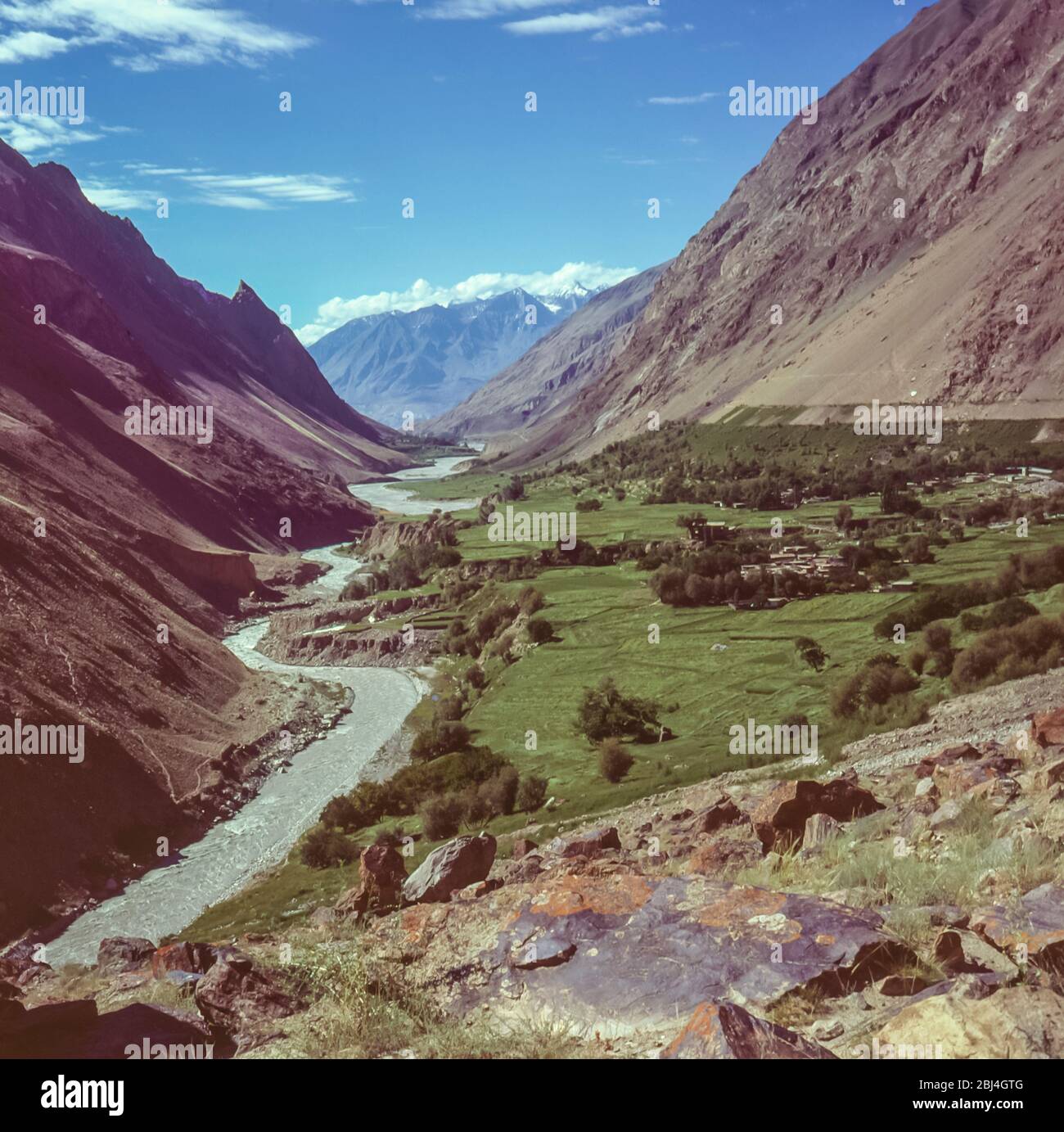 Pakistan, Northern Areas of the Karakoram Mountains. Wheat and rice