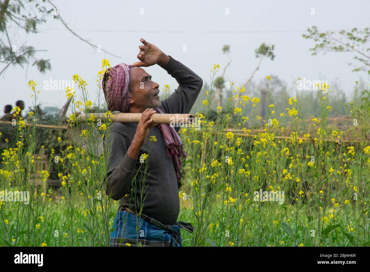 indian farmer looking at sky Stock Photo