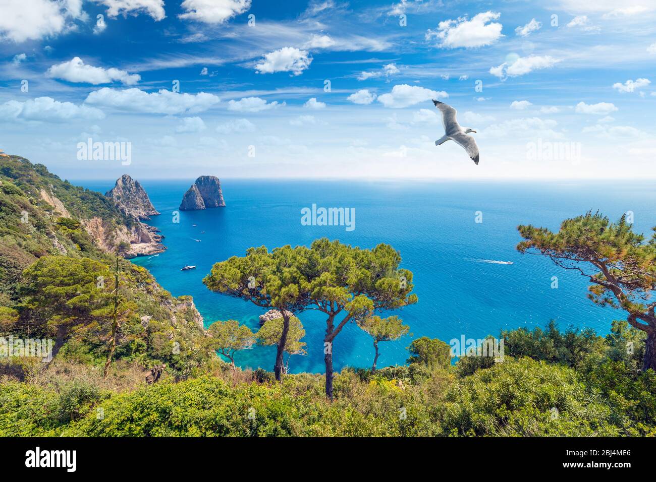 Aerial view of famous Faraglioni rocks from Capri island, Italy. Sunny summer weather, blue sky with white clouds. Single gull flies in sky. Stock Photo