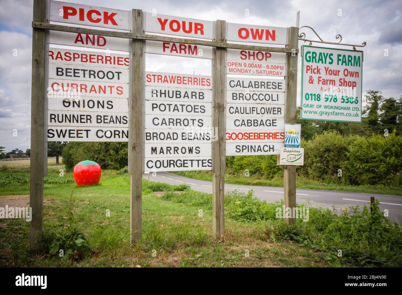 Pick Your Own and Farm Shop sign, Wokingham, Berkshire, England, GB, UK Stock Photo