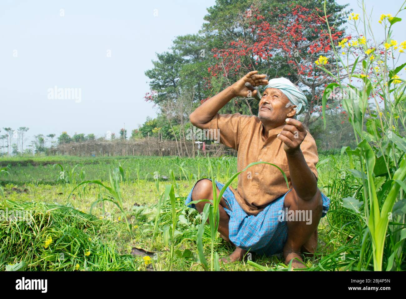 indian farmer woking at agricultural field, looking towards sky Stock ...