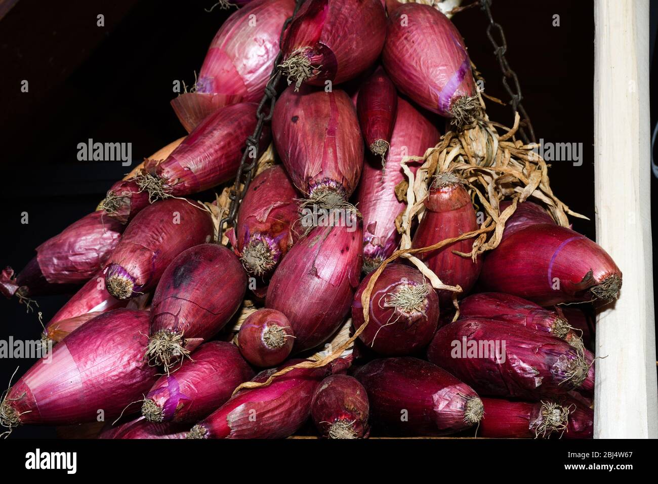 The sweet red onion of tropea hi-res stock photography and images - Alamy