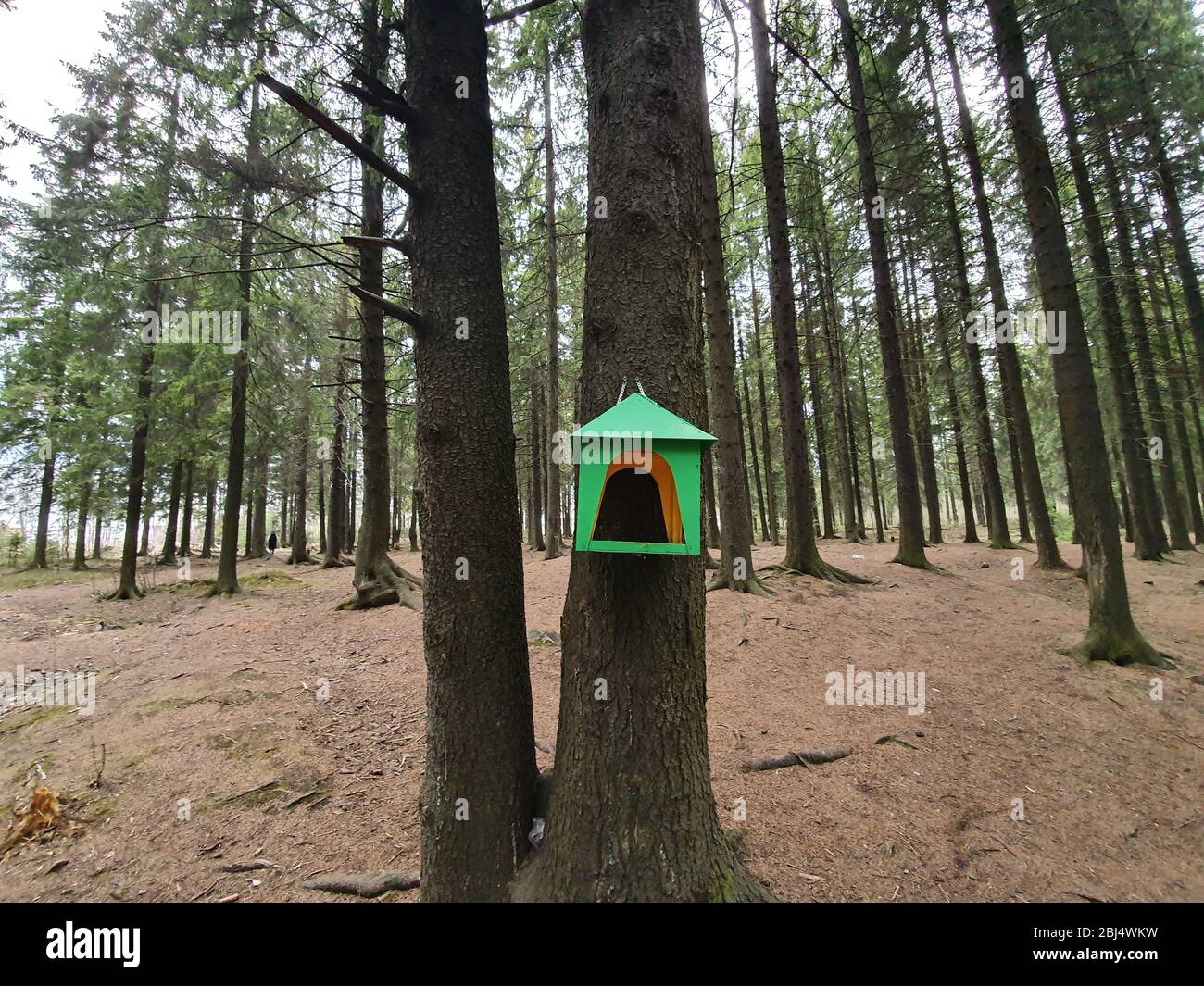A green-colored bird feeder. The feeder is made of wood in the shape of a house and painted with green paint. Stock Photo