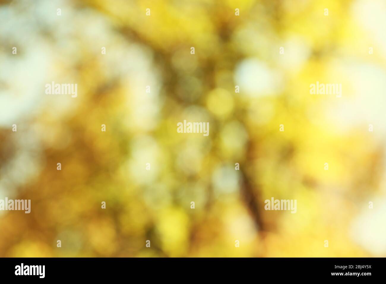 Blurred autumn background Stock Photo - Alamy