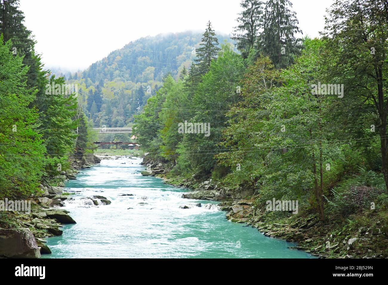 Mountain river flowing through forest Stock Photo - Alamy