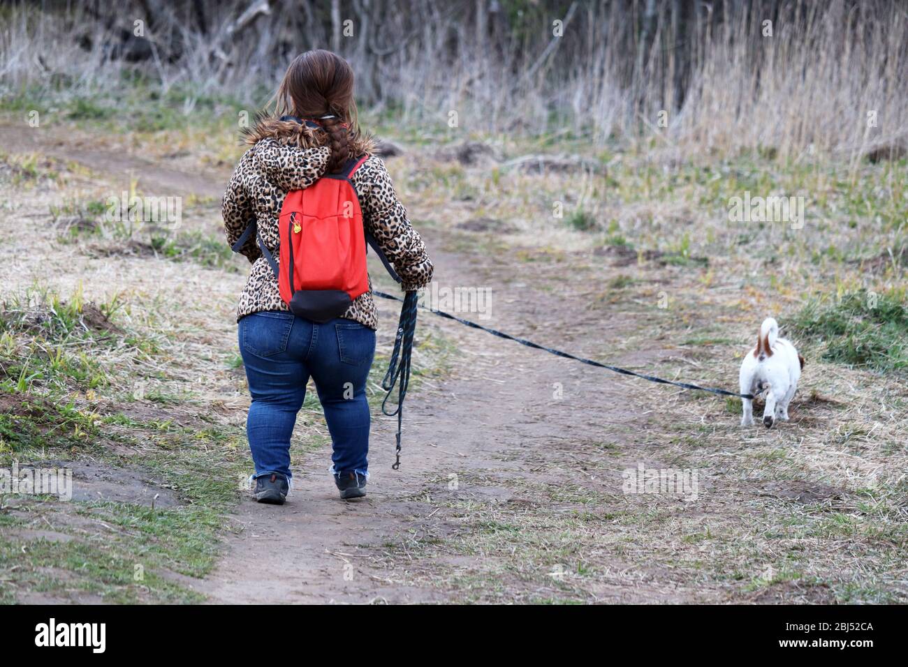 Midget woman in jeans walking a dog in a spring park, rear view Stock Photo