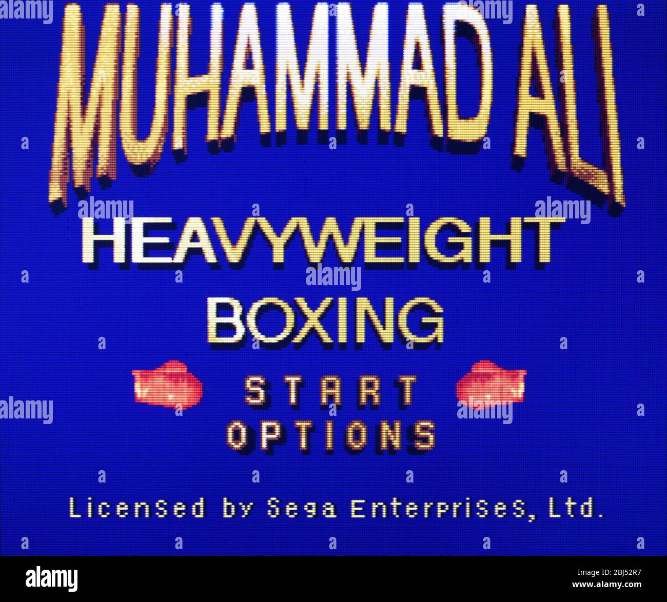 Jeu SEGA Mega Drive - Muhammad Ali Heavyweight Boxing (Complet, Boîte + Notice, Version PAL, 1992)