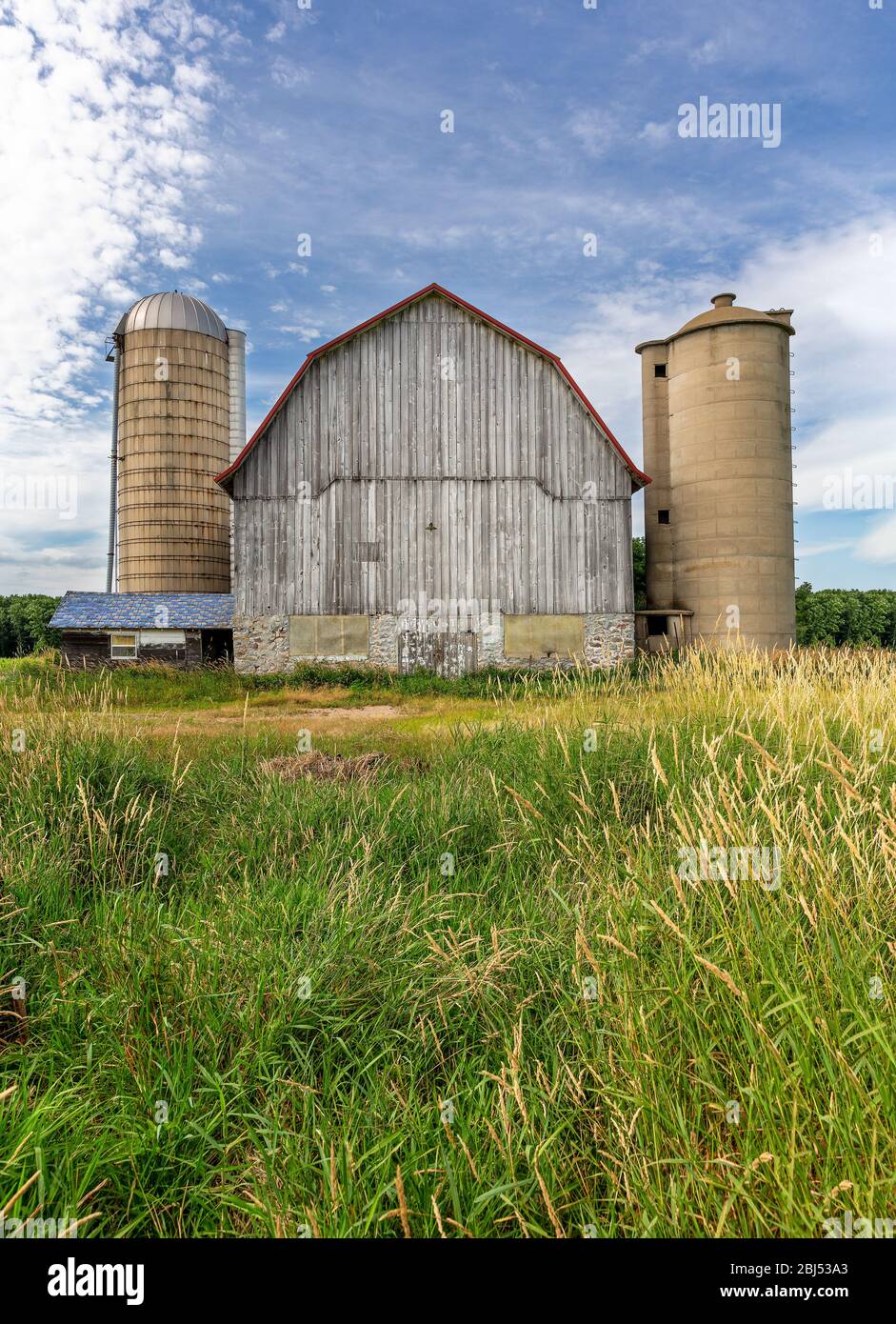 Old white barn with two adjoining silos. Concepts could include