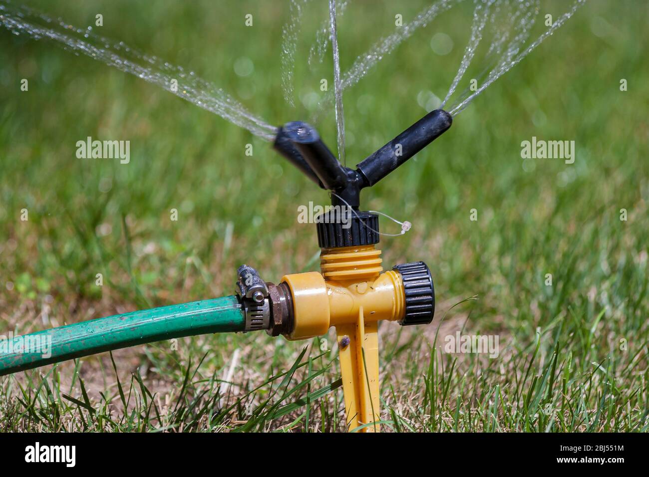 Automatic sprinkler watering the lawn during summertime Stock Photo Alamy