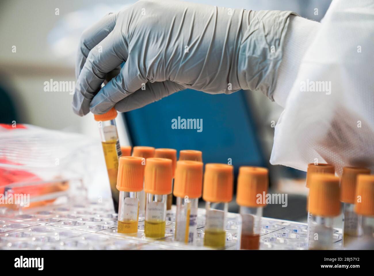 U.S. Navy Hospitalman Karlie Doll, sorts blood sample from sailors assigned to the aircraft carrier USS Theodore Roosevelt as part of contact tracing for COVID-19, coronavirus outbreak aboard the ship April 22, 2020 in Apra, Guam. Stock Photo