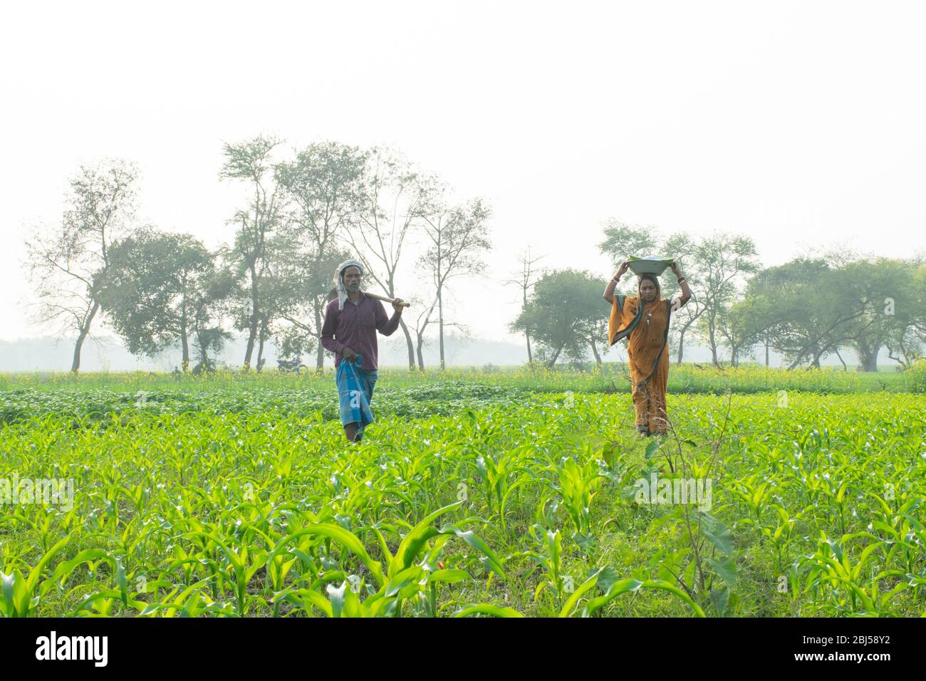 Indian farmer couple working in field Stock Photo