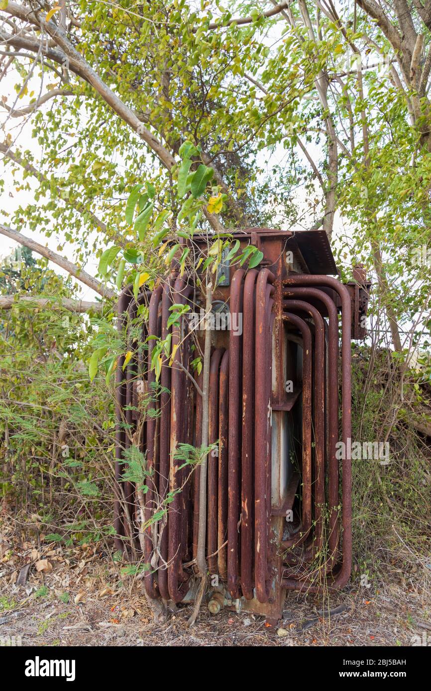 old abandoned rusted transformer with hand wheel partially covered with young trees Stock Photo