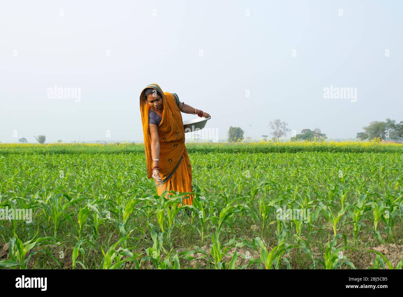 indian woman farmer working in agricultural field Stock Photo - Alamy
