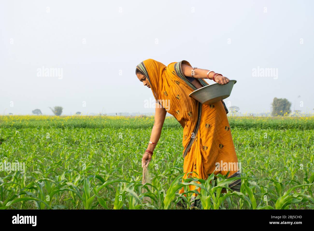 indian woman farmer working in agricultural field Stock Photo