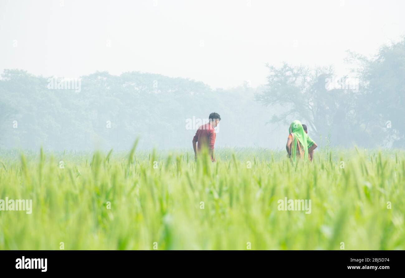 Indian rural family cycle hi-res stock photography and images - Alamy