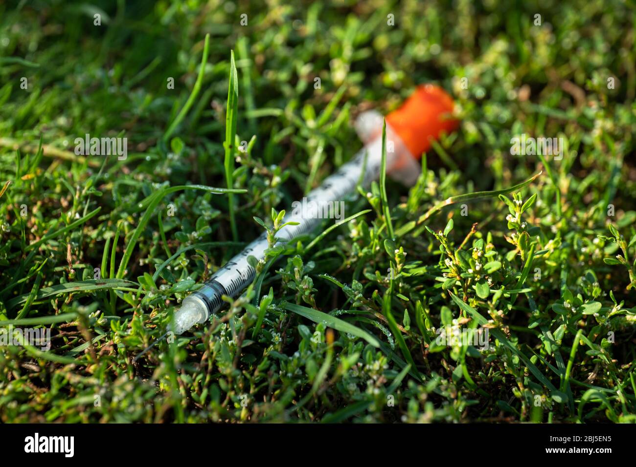Used syringe hypodermic needle used to inject drugs is discarded on the