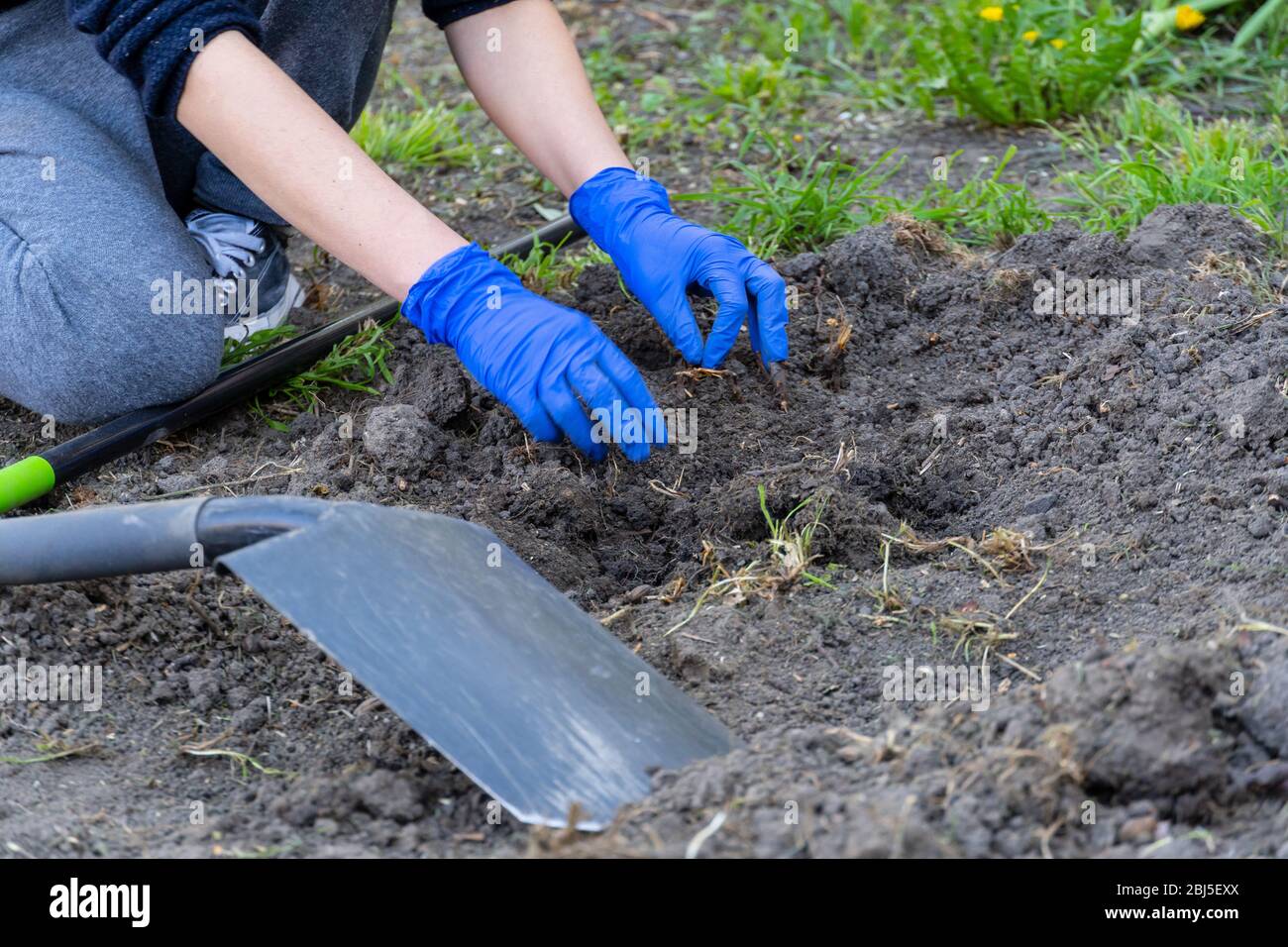 Weed root soil hi-res stock photography and images - Alamy