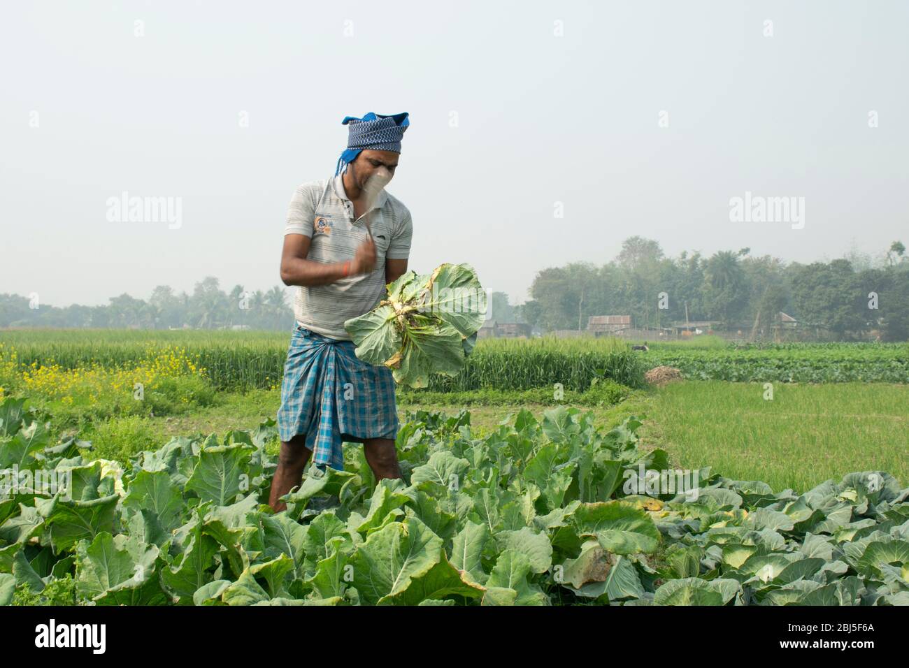 Indian farmer field hi-res stock photography and images - Alamy