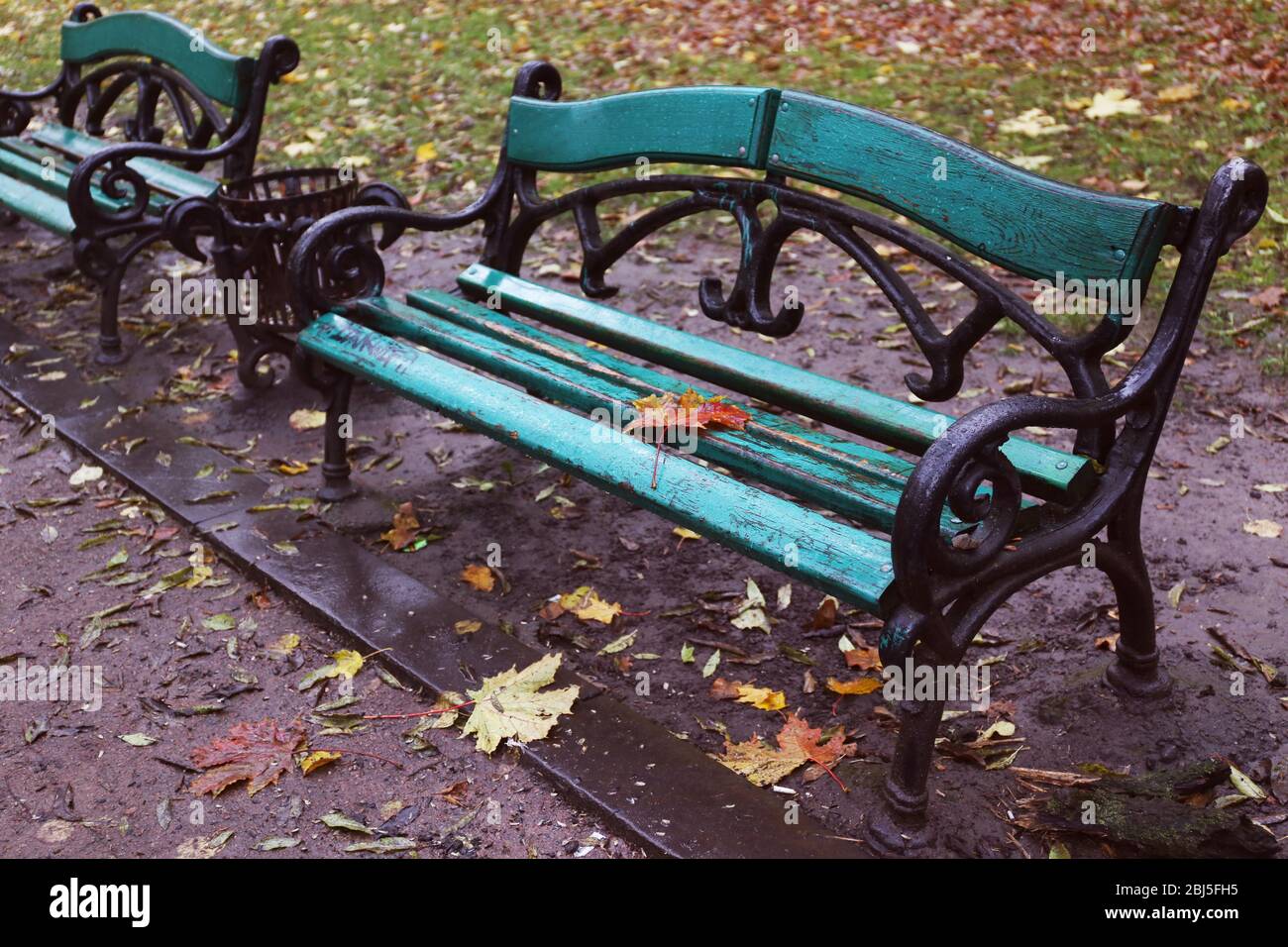 Maple leaf on a park bench Stock Photo - Alamy