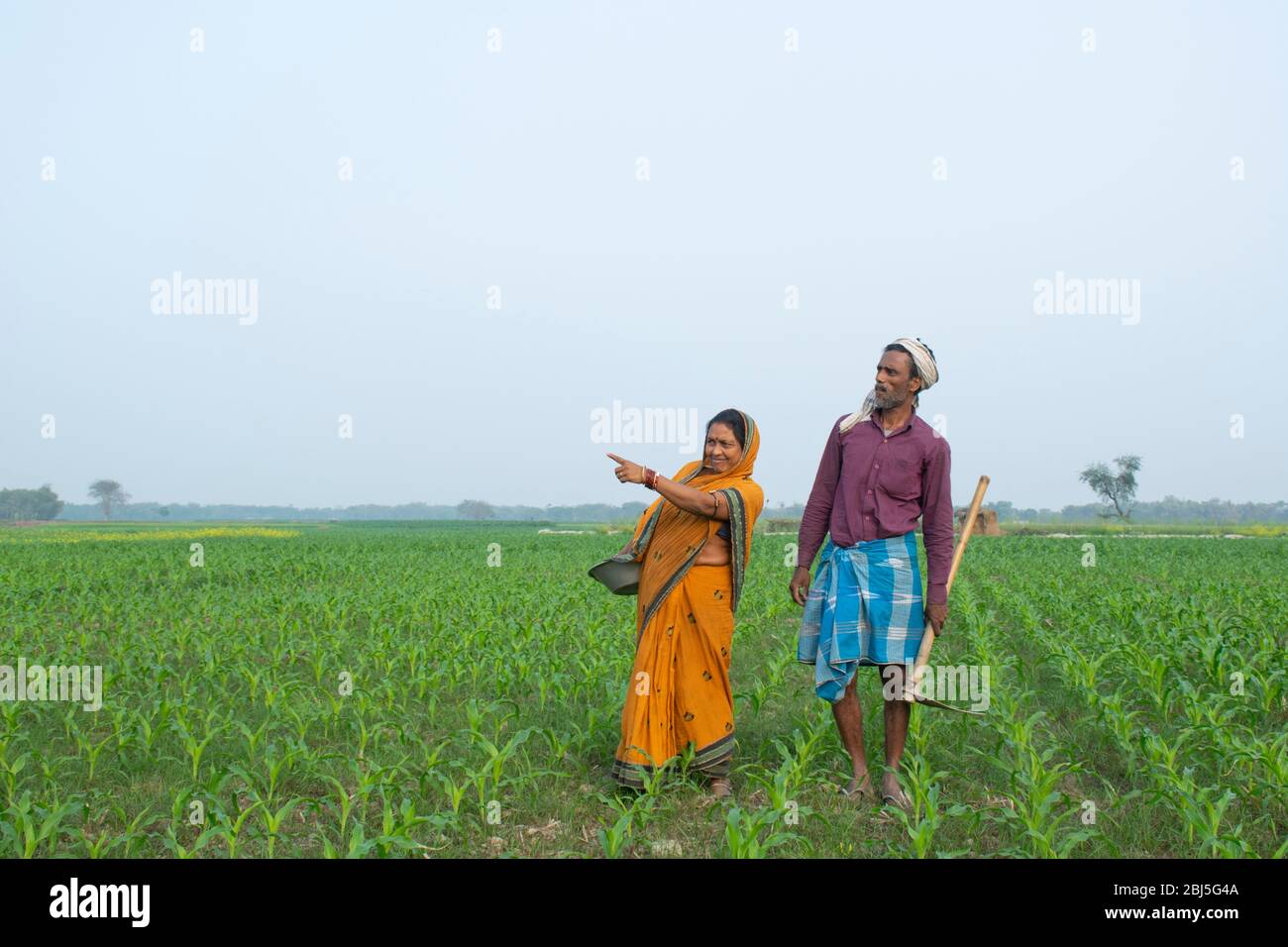 Indian farmer couple working in field Stock Photo - Alamy