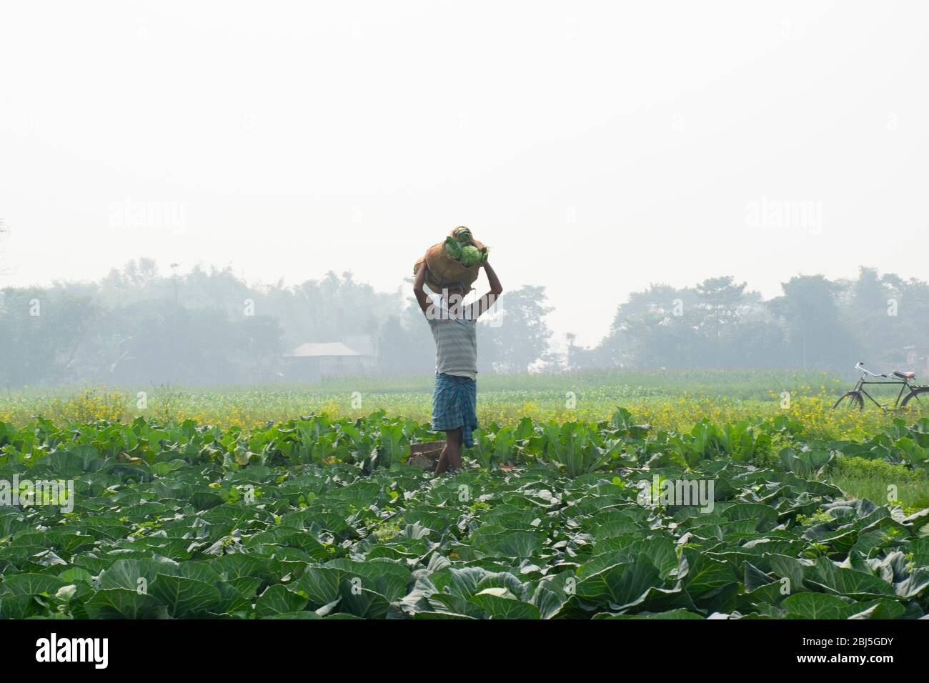 India farmer carrying hi-res stock photography and images - Alamy