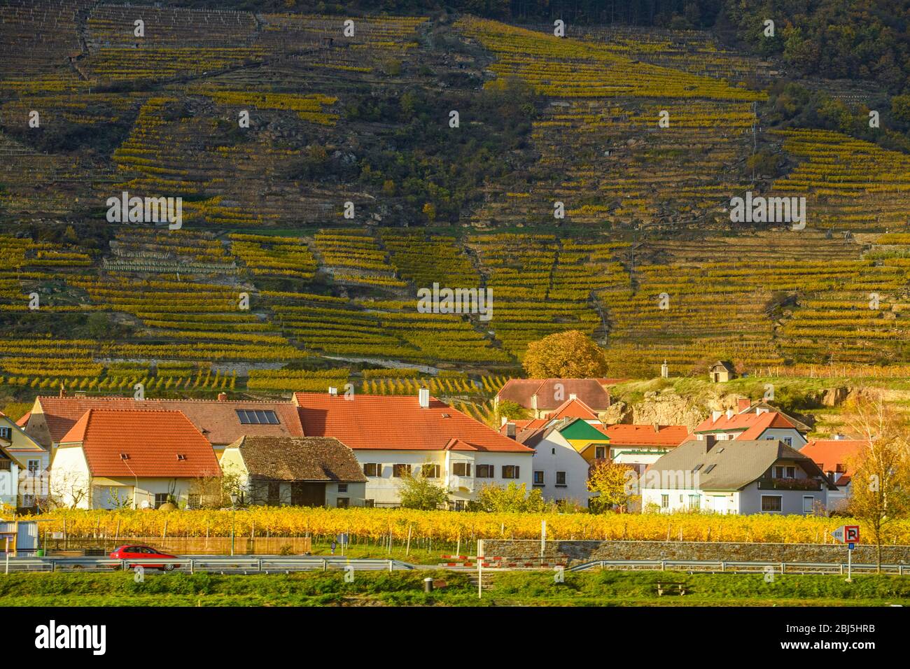 Autumn in the Wachau Valley-, Wachau Valley, Lower Austria, Austria Stock Photo