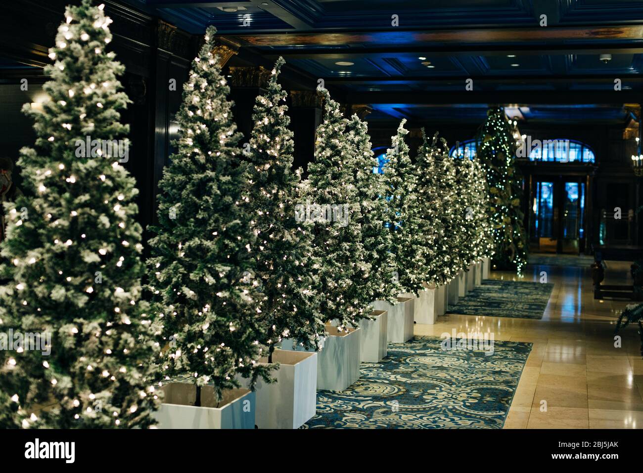 classic christmas tree lights
