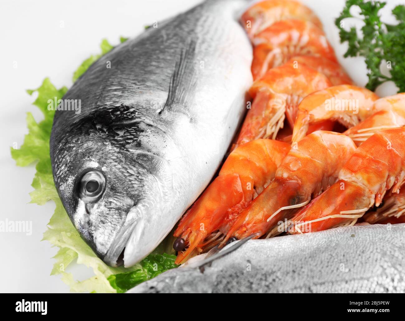 Seafood isolated on white Stock Photo - Alamy