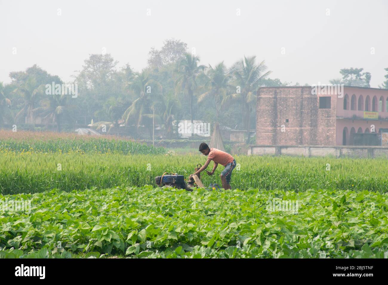 indian boy working in agricultural field Stock Photo