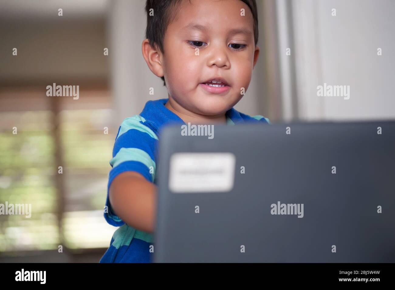 A young boy engaged in distance learning class is using a laptop to continue education. Stock Photo