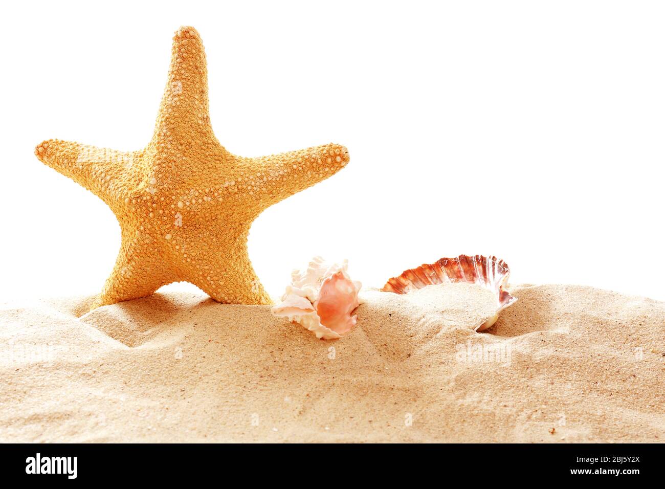Starfish and shells on sand against white background Stock Photo - Alamy