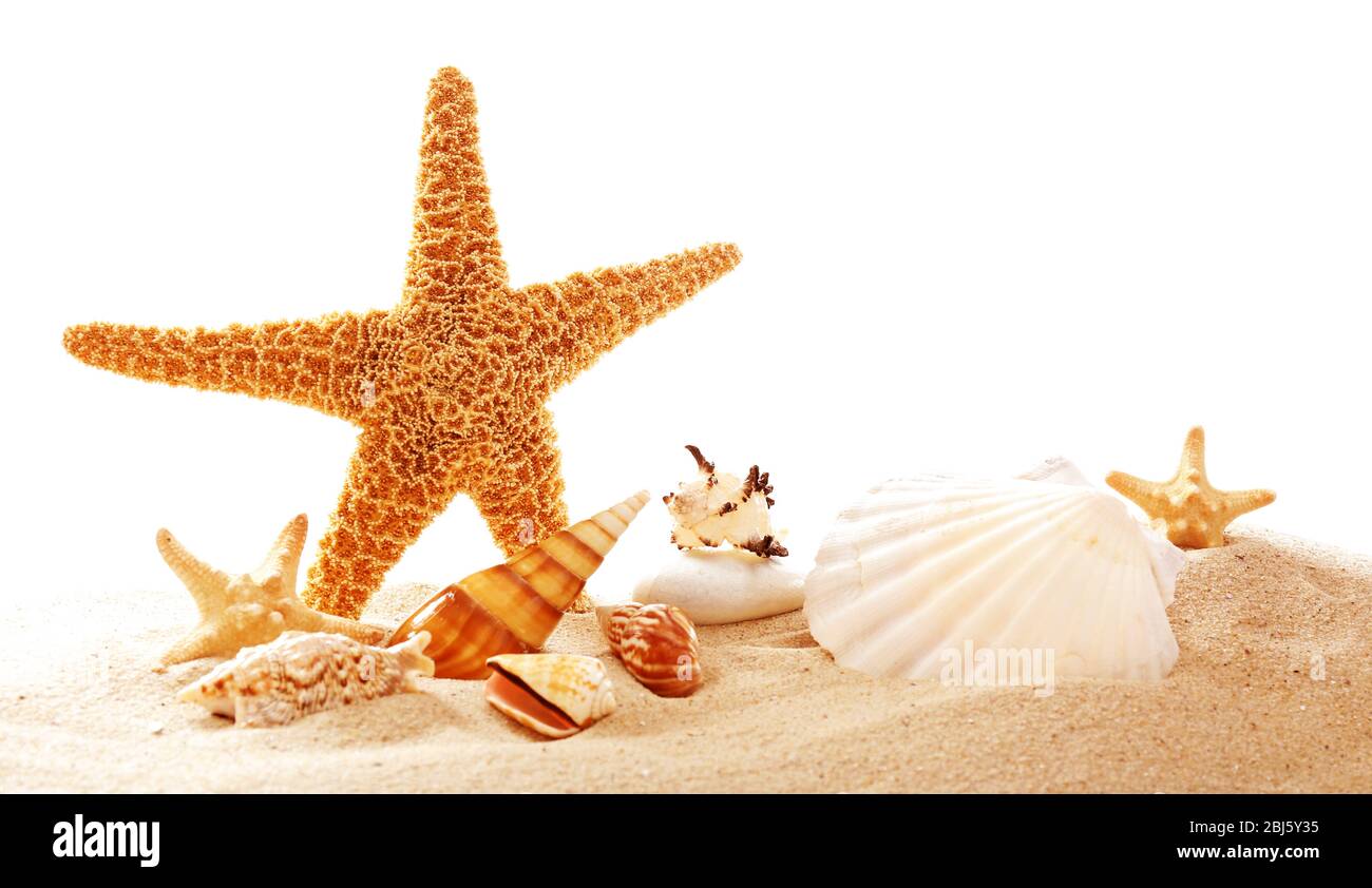 Starfish and shells on sand against white background Stock Photo - Alamy