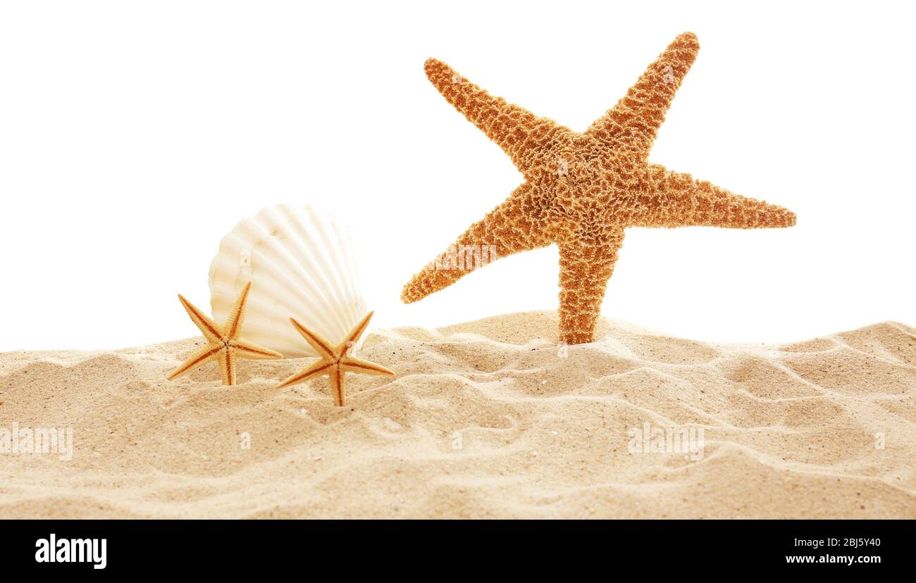 Starfish and shells on sand against white background Stock Photo - Alamy