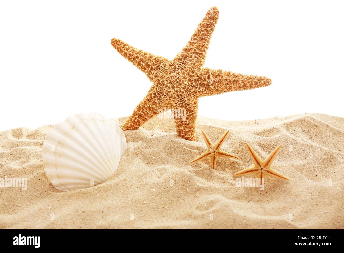 Starfish and shells on sand against white background Stock Photo - Alamy