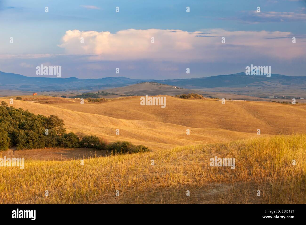 Scenic view of Val d'Orcia and the Tuscan countryside near San Quirico d'Orcia, Tuscany, Italy Stock Photo
