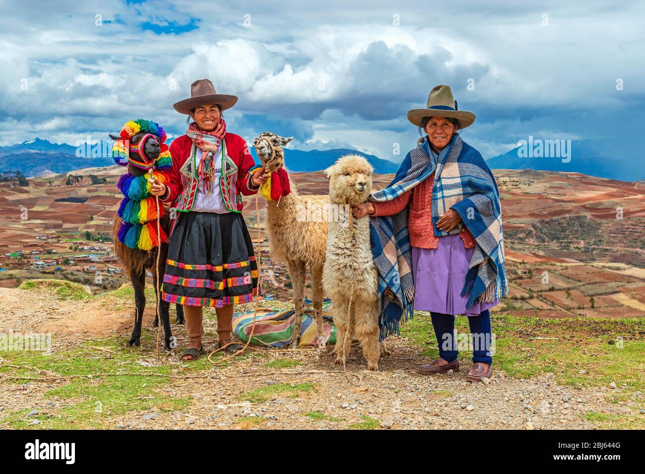 Quechua Indigenous Women in traditional clothing with two llama and one alpaca, Sacred Valley, Cusco, Peru. Stock Photo