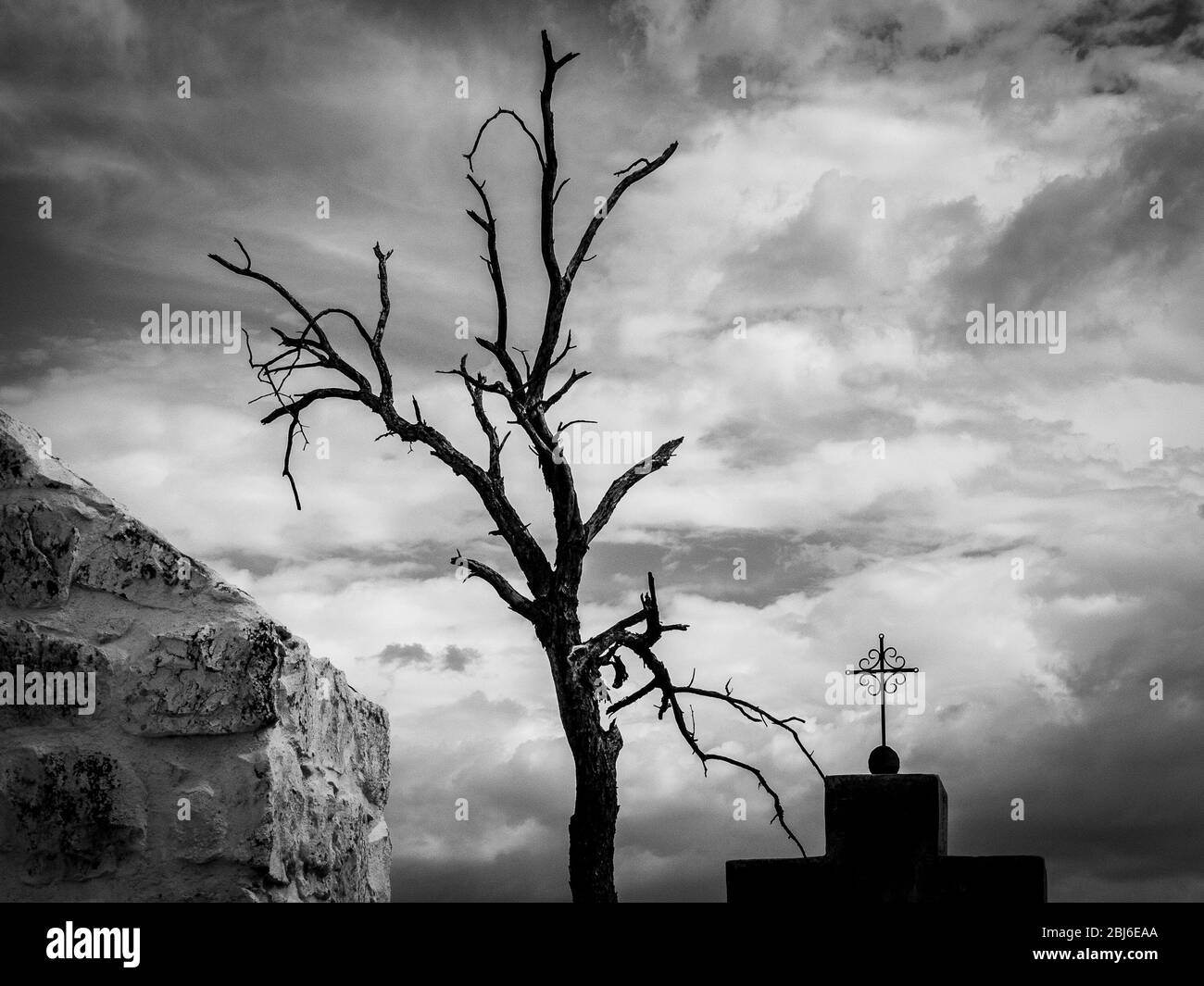 A black and white image of a dead tree next to a stone wall and church ...