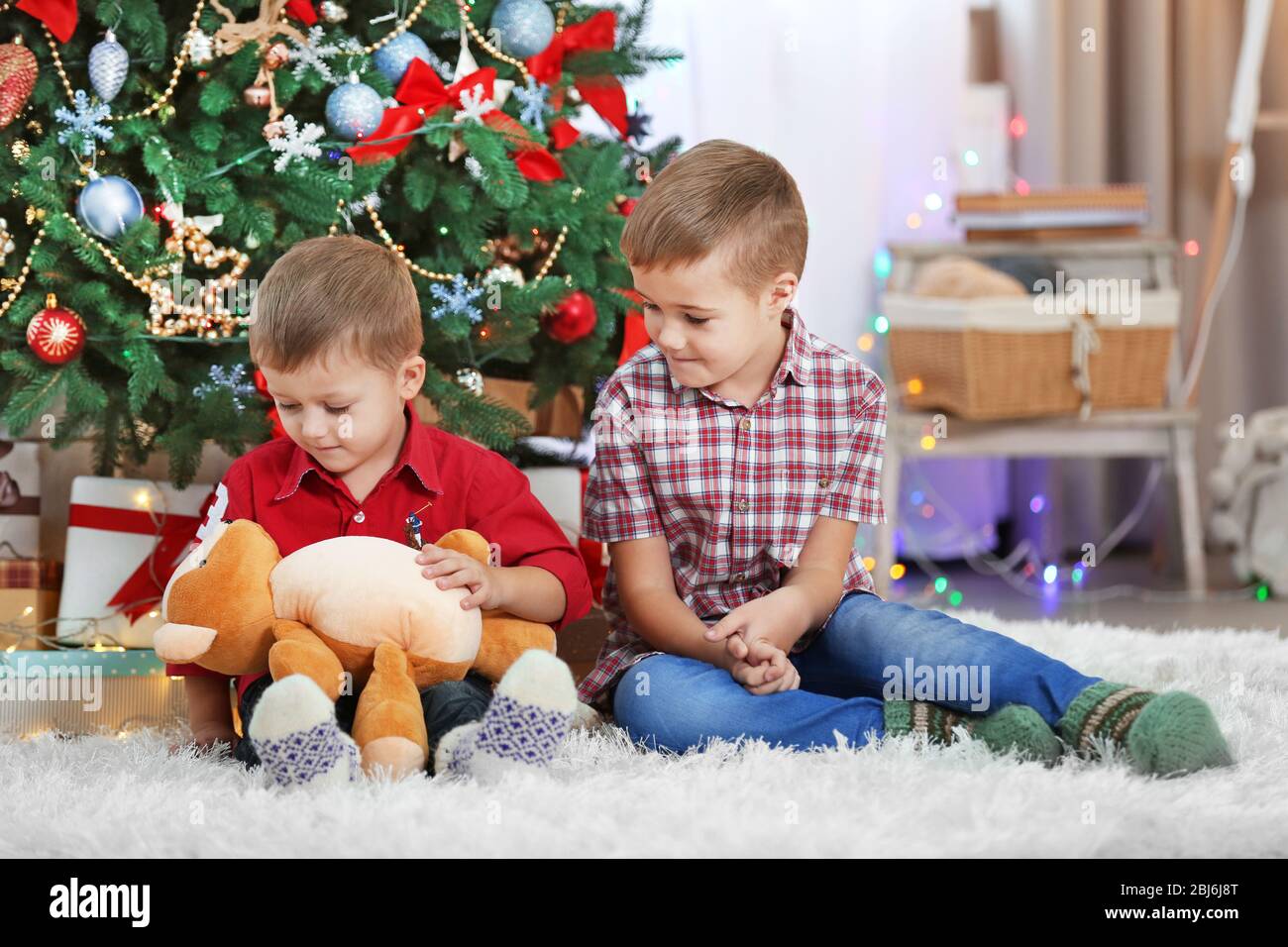 Two cute small brothers with teddy bear on Christmas tree background ...
