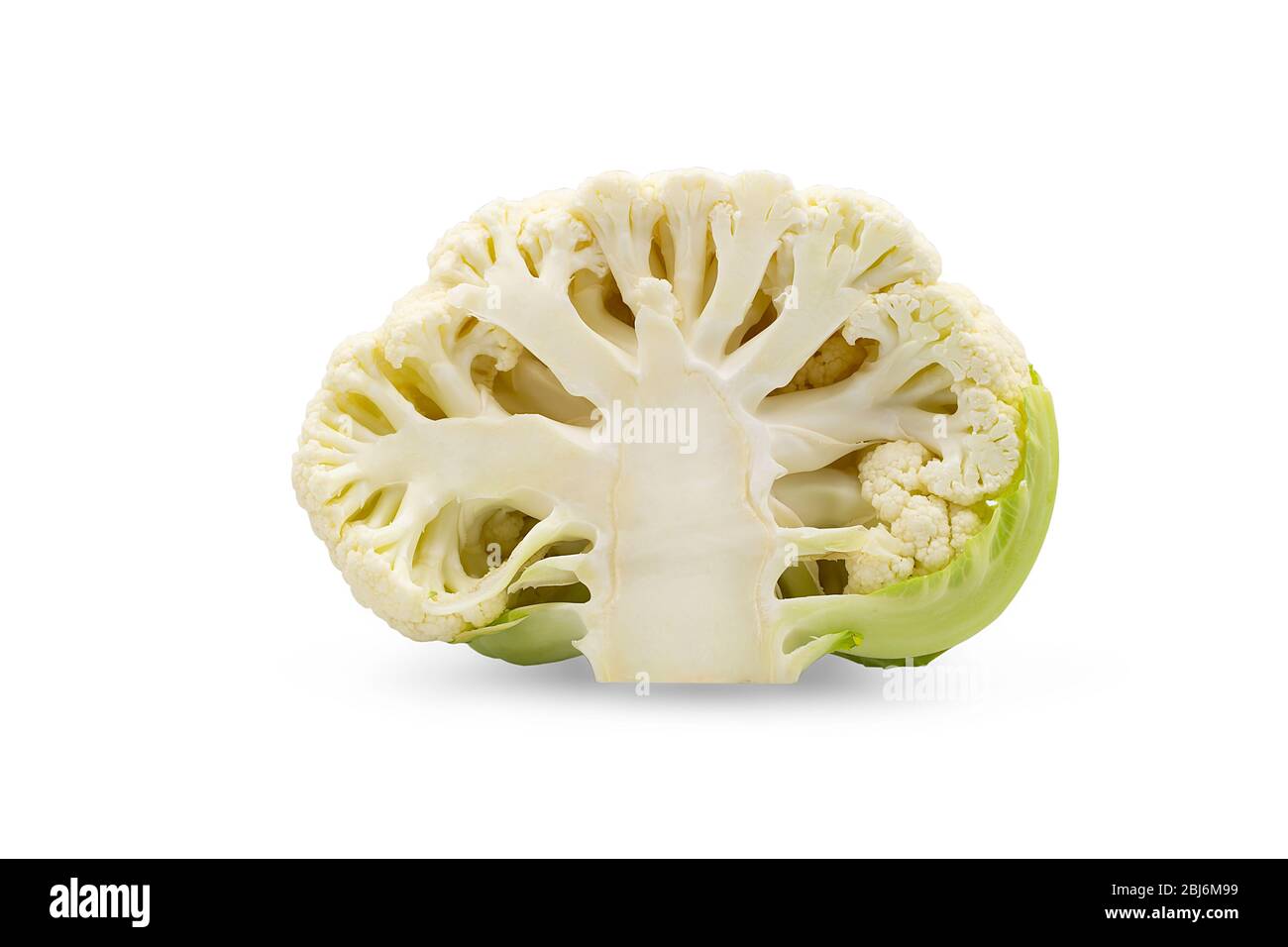 Cross section fresh organic cauliflower on white isolated background with clipping path. Cauliflower have high carbohydrate and fiber so crispy sweet Stock Photo