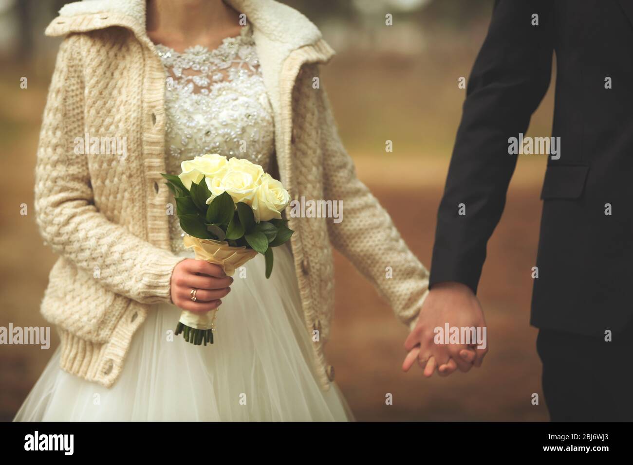 Beautiful groom and bride holding hands on a forest background Stock ...