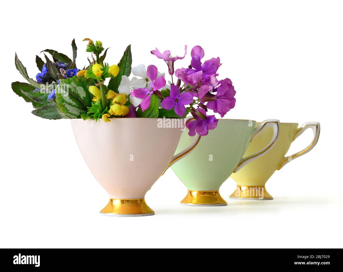 A handpicked posy of wild british  flowers in the first of a series of three vintage finebone china teacups Stock Photo