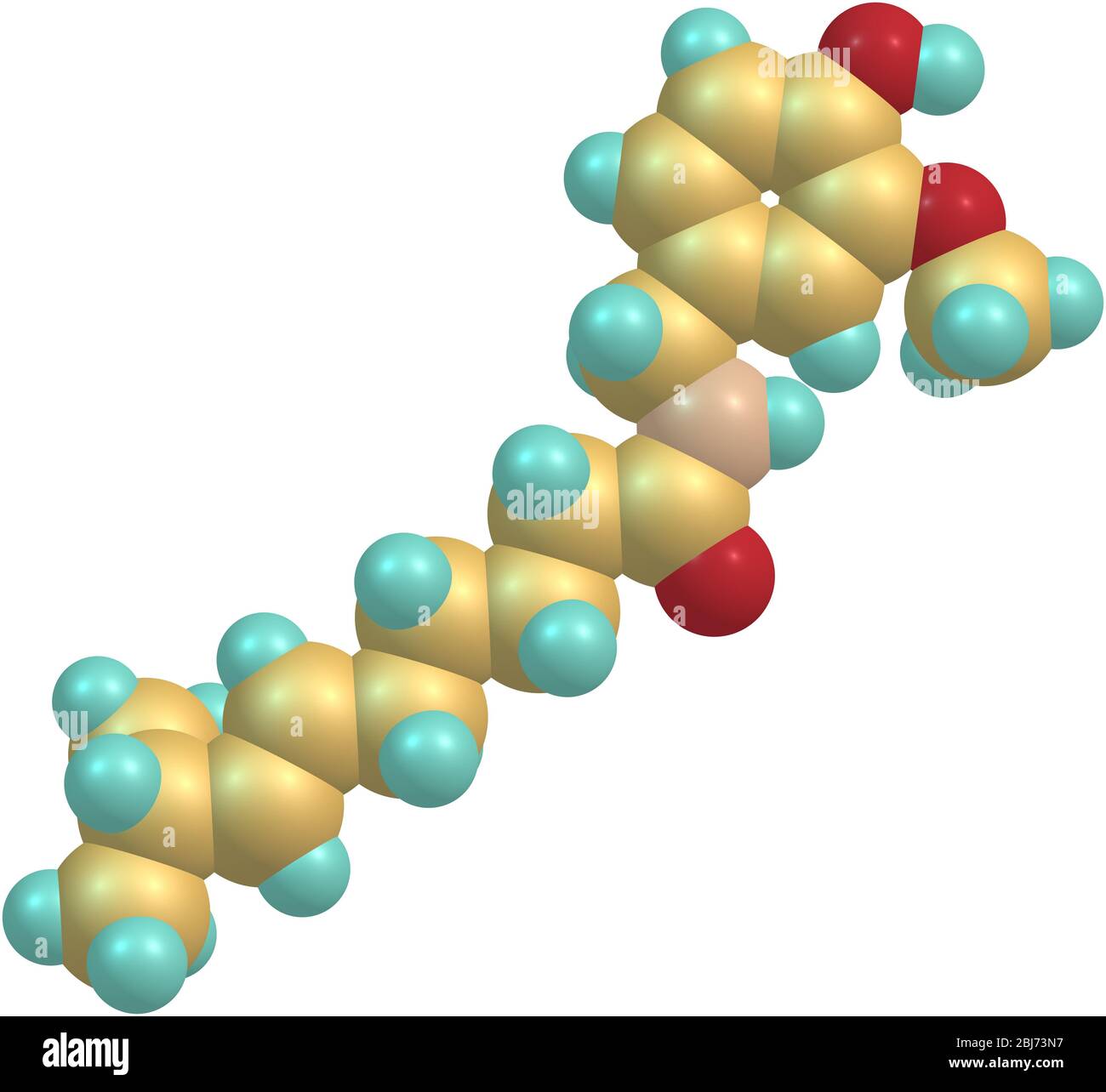Capsaicin (C18H27NO3) molecule isolated on white background Stock Photo