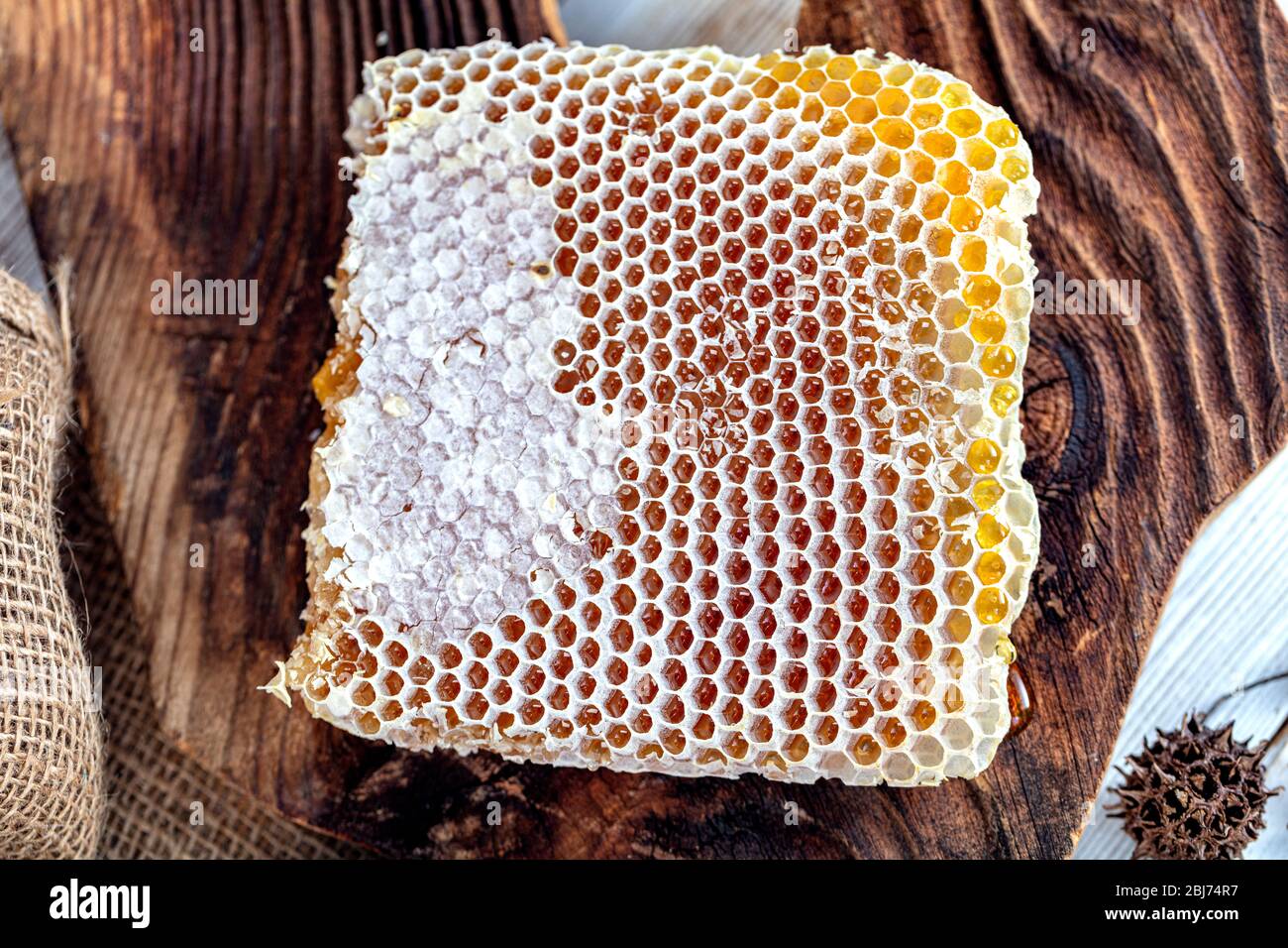 Magical close up, Honey harvesting, honey picking. Organic (Turkish