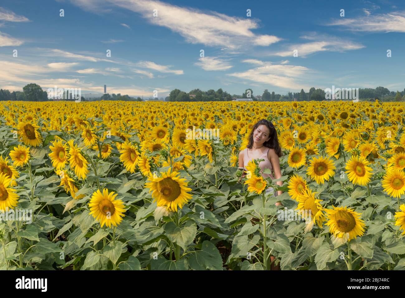 Young teen girl standing in field surrounded by sunflowers outside of ...