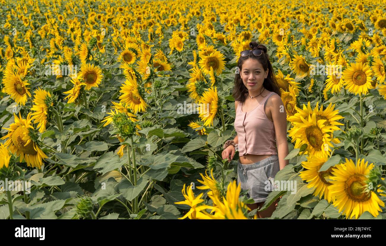 Young teen girl standing in field surrounded by sunflowers outside of ...