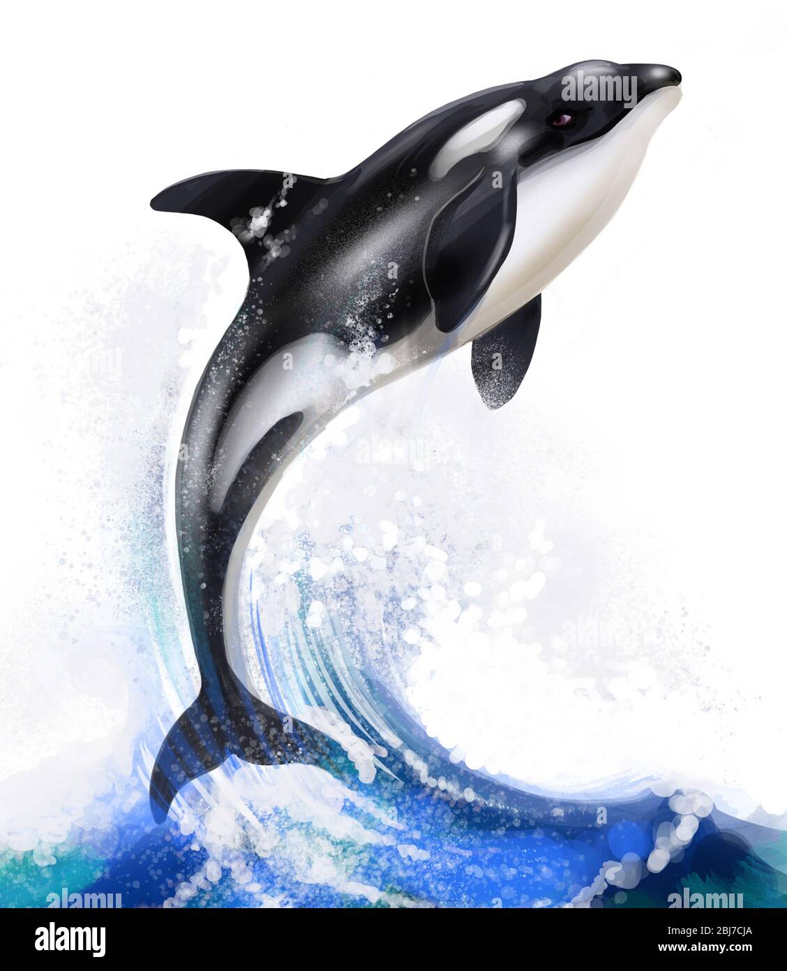 My Image 30