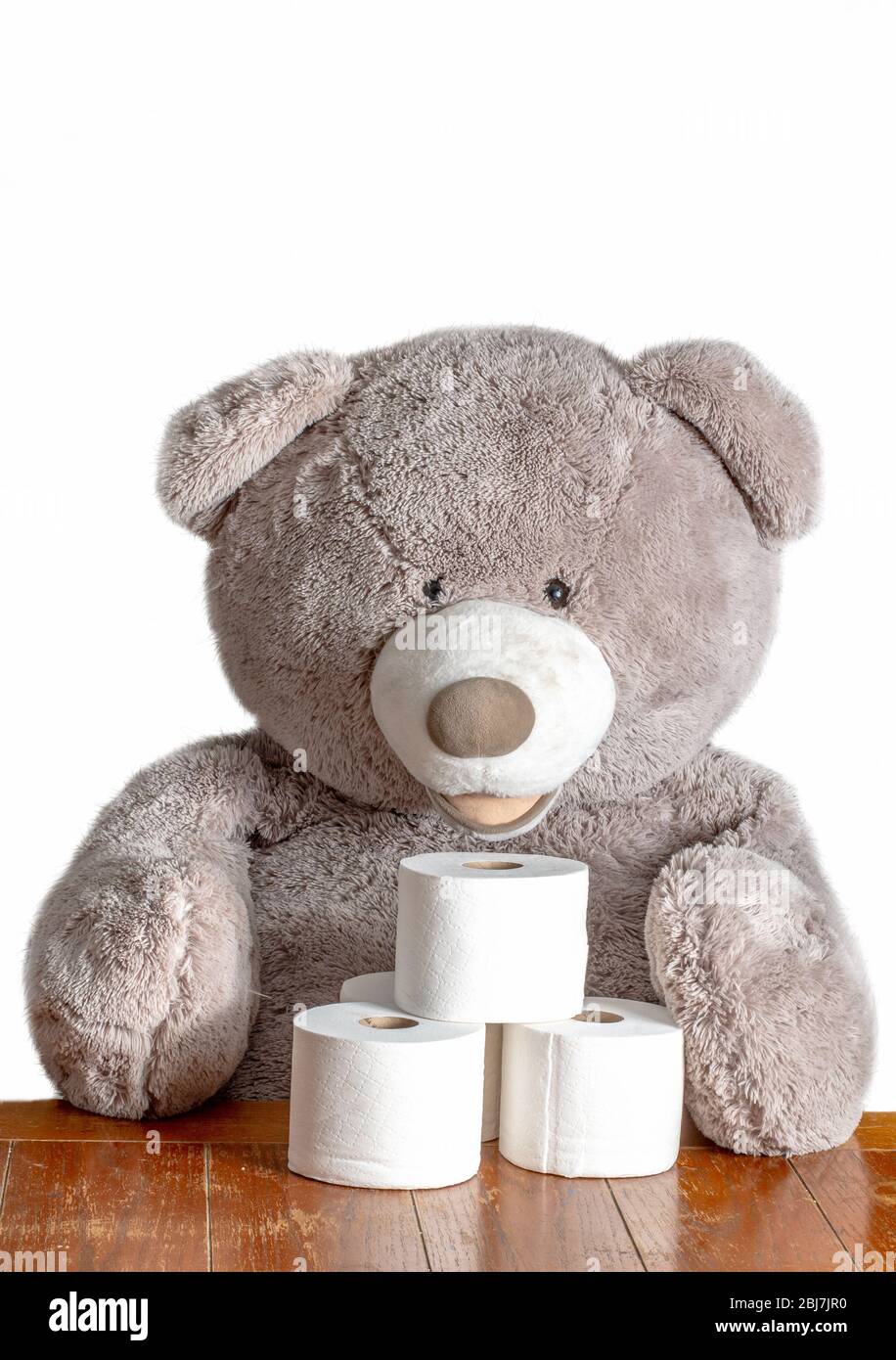 A Large teddy bear sits with rolls of toilet paper, telling everyone to