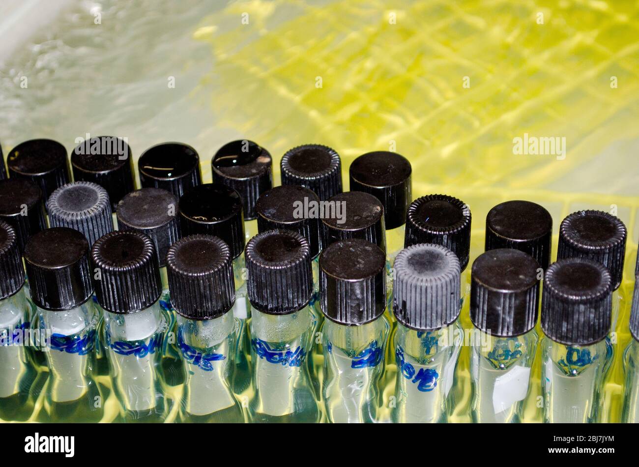 Test tubes in a research lab sit in a hot water bath Stock Photo - Alamy