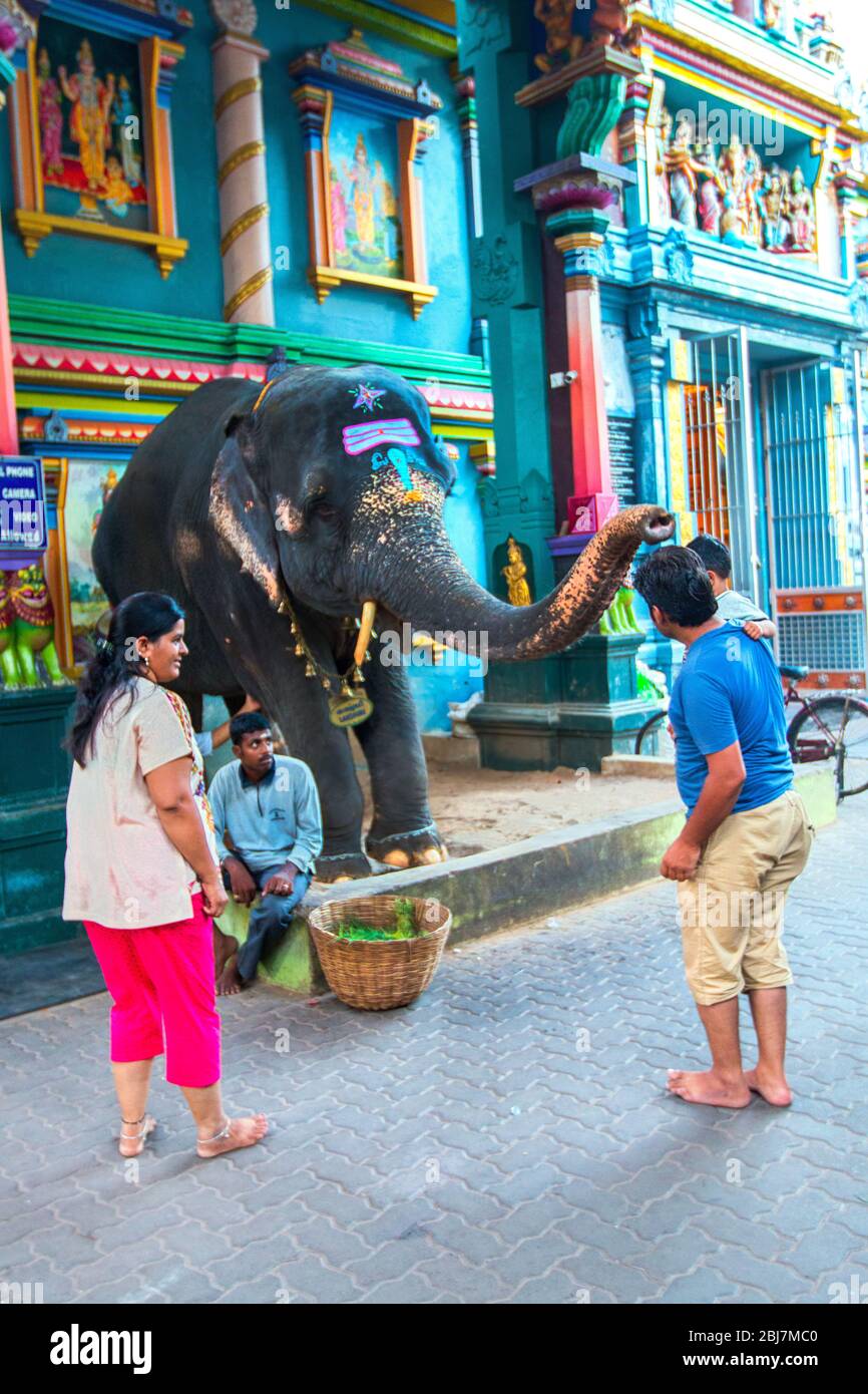 Arulmigu Manakula Vinayagar temple,pondicherry,south india,pondy ...